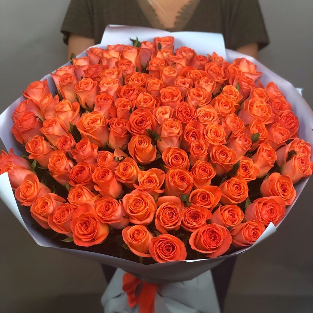 101 coral rose